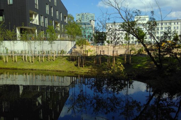 Wohnungsbau, Wasser, Landschaftsgärtnerei, Freiraum, Natur