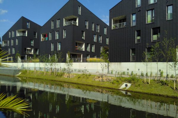 Wohnungsbau, Wasser, Landschaftsgärtnerei, Freiraum, Natur